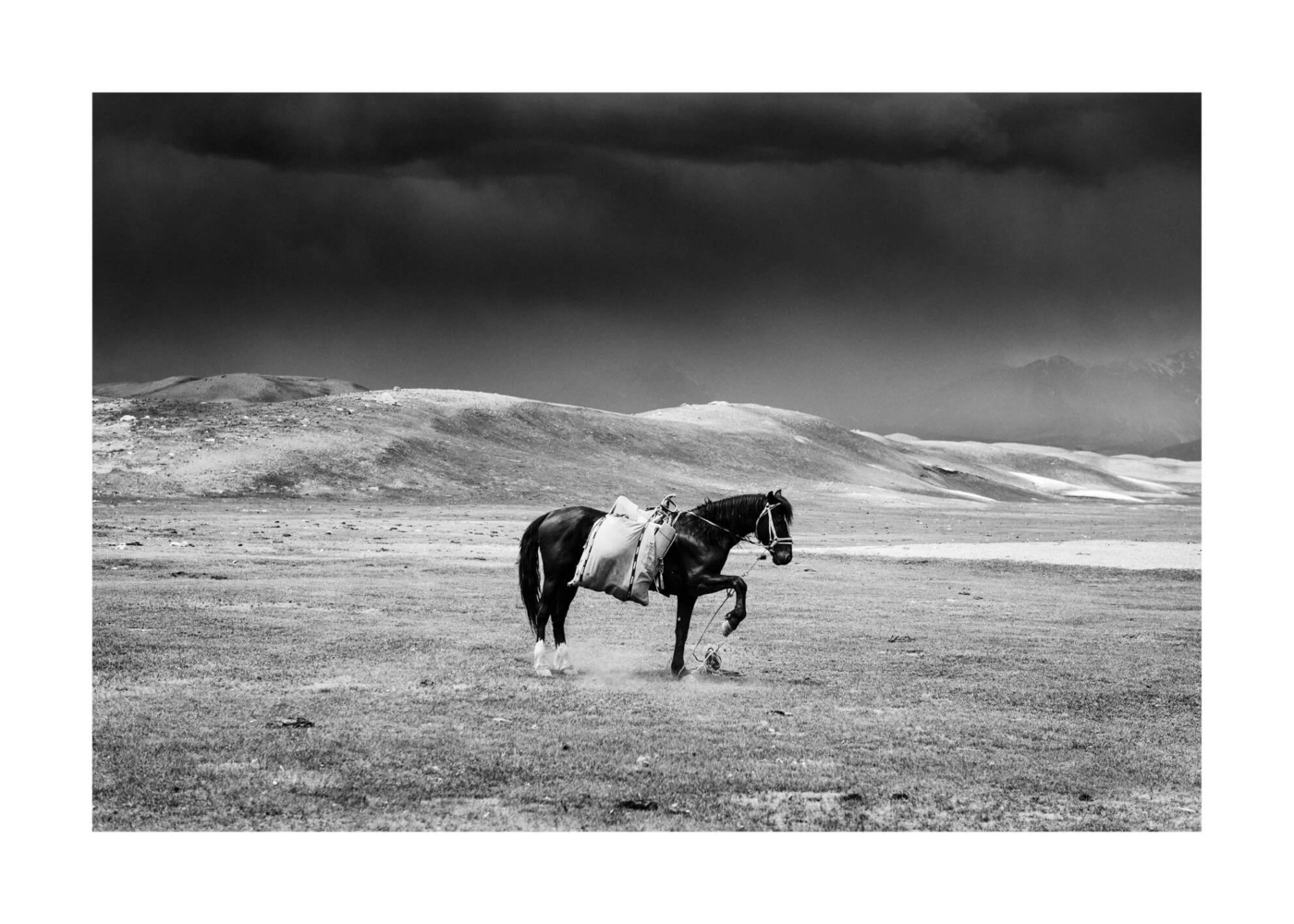 Grace by artist Rowan Thornhill in size 50x70 cm. Affordable art sold in Open Edition.