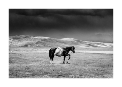 Grace by artist Rowan Thornhill in size 50x70 cm. Affordable art sold in Open Edition. 